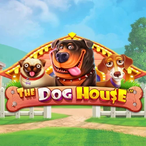 Teste The Dog House Slot bei Platincasino und genieße Freispiele.